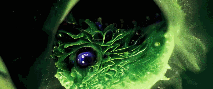 那些率先“拥抱”AI的绘画从业者们,如今都怎样了?