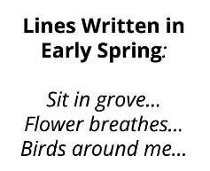 斯坦福团队项目:无限连贯的3D场景,只需1句话1张图就能生成!