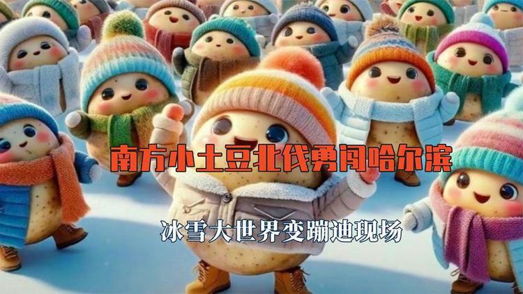 南方“小土豆”勇闯哈尔滨——AIGC设计活动，24/1/19截止