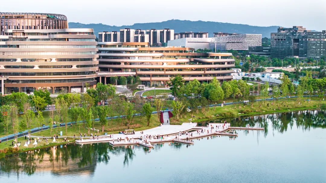 2024成都人工智能与机器人产业发展大会精彩探讨