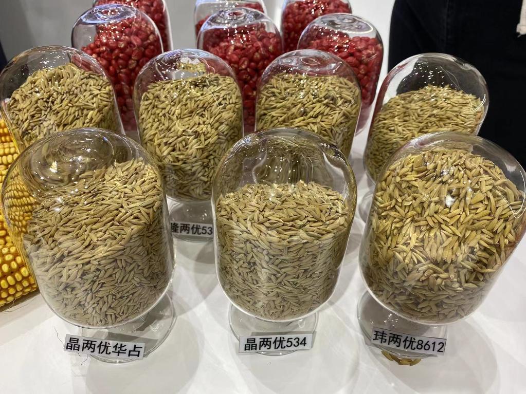 世界人工智能大会报道:一碗好饭背后的人工智能