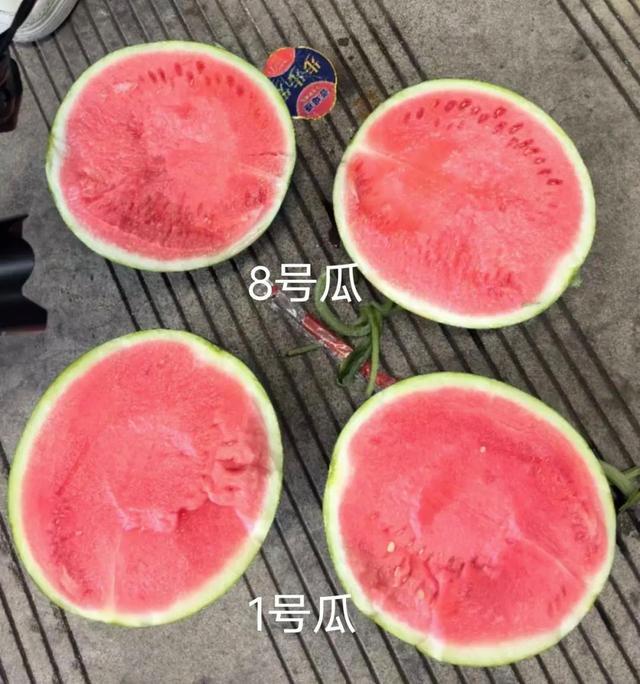 AI挑西瓜靠谱吗?记者实测被震惊:这结局真猜不到!