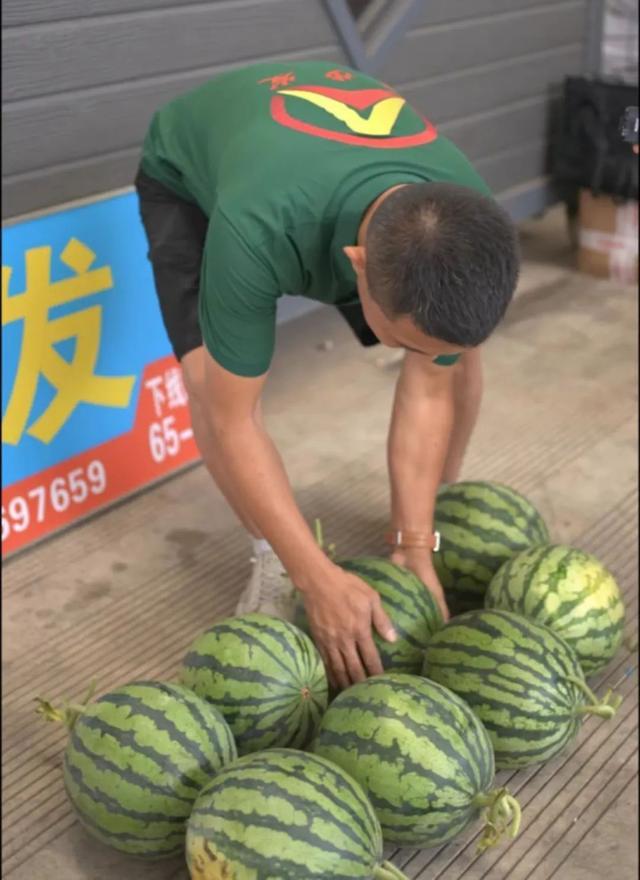 AI挑西瓜靠谱吗?记者实测被震惊:这结局真猜不到!