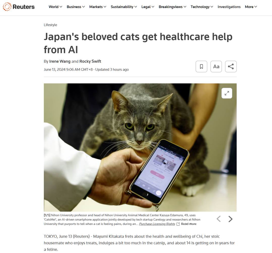 养猫必备!Carelogy推出AI应用,帮助主人了解疼痛信号