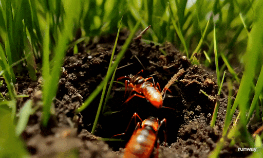 Runway推出Gen-3版本：AI视频领域再添新境界！