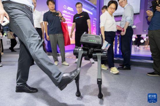 2024世界人工智能大会开幕