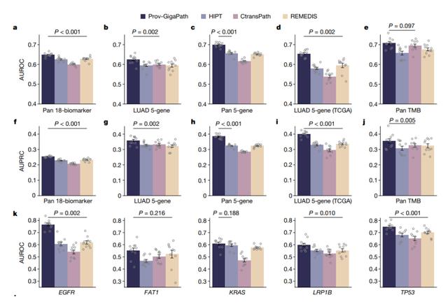 AI病理学大模型革新癌症诊断,科学家揭秘技术突破