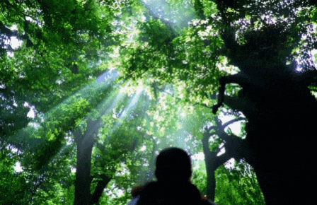 智谱 AI 清影发布:免费视频生成大模型,时长6秒,清晰度1440×960