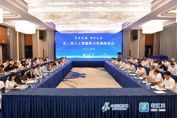 盐城人工智能算力发展座谈会:拉开长三角新格局