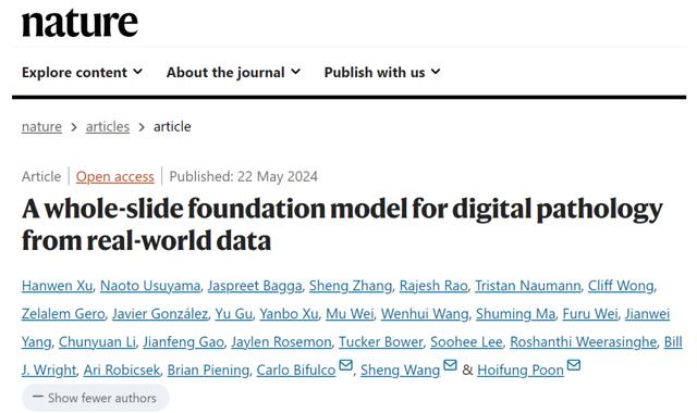 AI病理学大模型革新癌症诊断,科学家揭秘技术突破