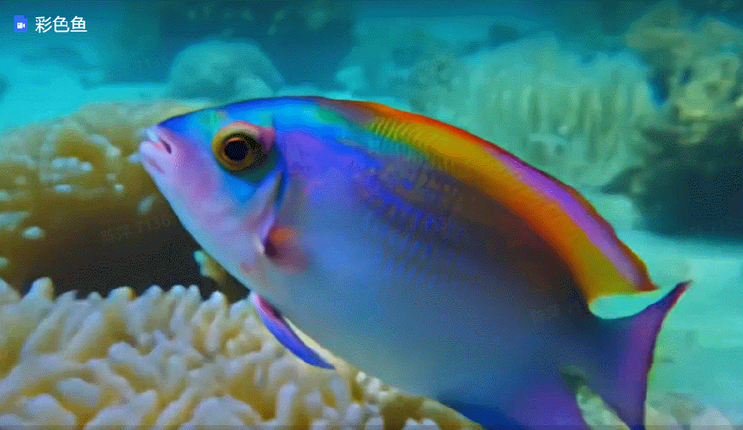 智谱 AI 清影发布:免费视频生成大模型,时长6秒,清晰度1440×960