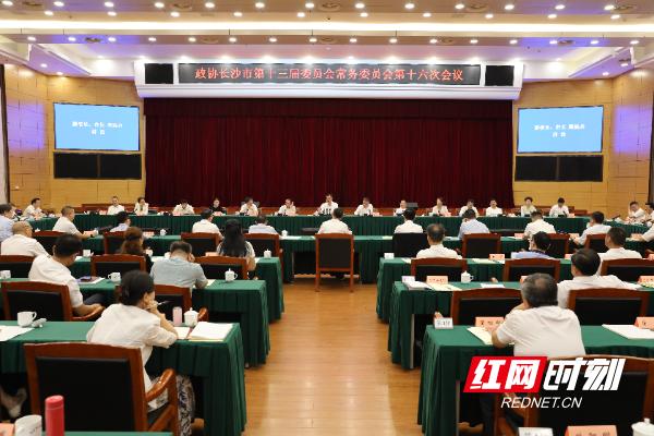 长沙人工智能产业发展全景解析