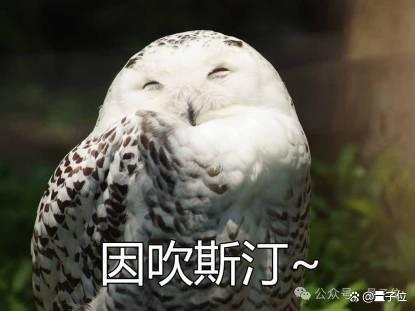 8岁女孩用AI编程工具45分钟造聊天机器人,Cursor引爆全网
