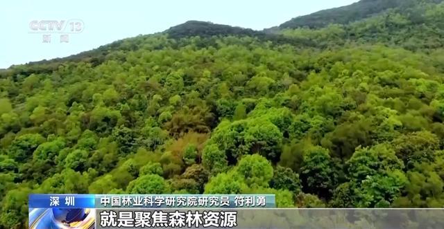 全国人工智能应用场景创新挑战赛结束 13个项目获特等奖