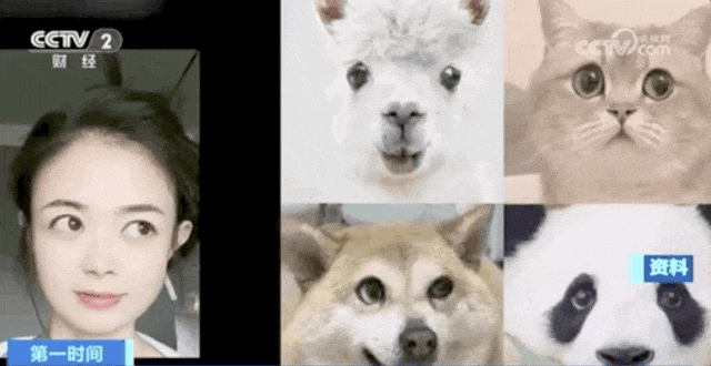 多位知名人士遭遇“AI换脸”,这些套路要警惕