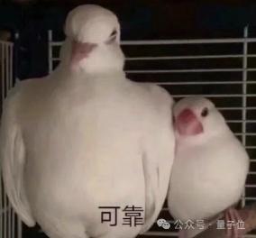 谷歌爆款学习神器更新,一键插嘴AI对话,哪里不会问哪里