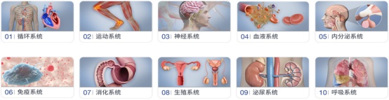 “AI+医学教育”,交医探索新医科背景下医学创新人才培养新模式 | 人工智能赋能高等教育