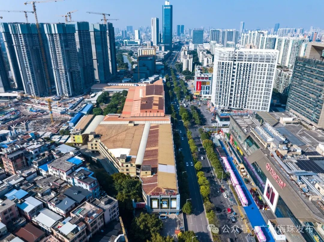 海珠区委书记蔡澍:全力推进“人工智能+”行动