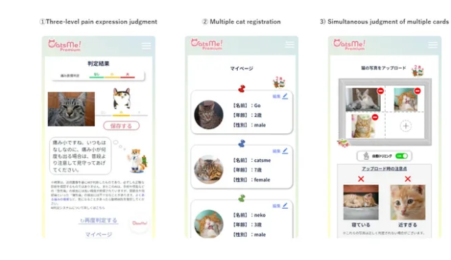 AI应用CatsMe!革新猫咪健康监测:通过面部表情检测疼痛