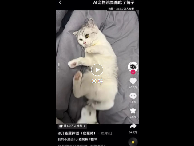 AI“魔改”宠物跳舞爆红网络：猎奇、荒诞成流量密码
