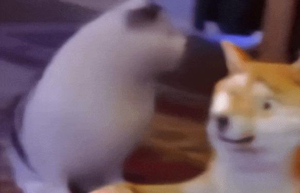 AI视频神器Pika，最近又推出了一个好玩的新功能：Pikaddition