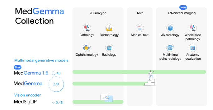 谷歌开源医疗AI新星MedGemma 1.5：从看平面图到读懂3D影像